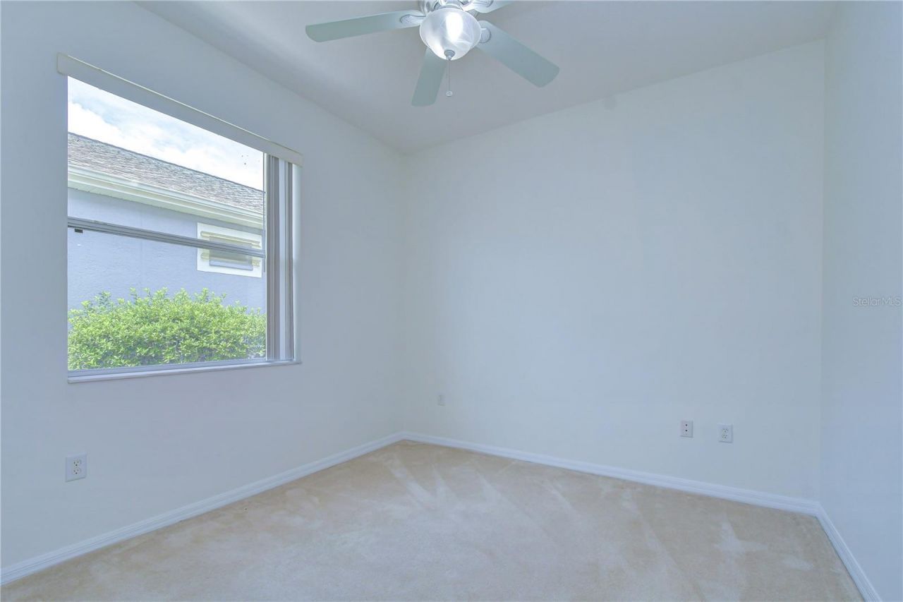 8049 Sanguinelli Road, Land O Lakes, FL 34637 Photo