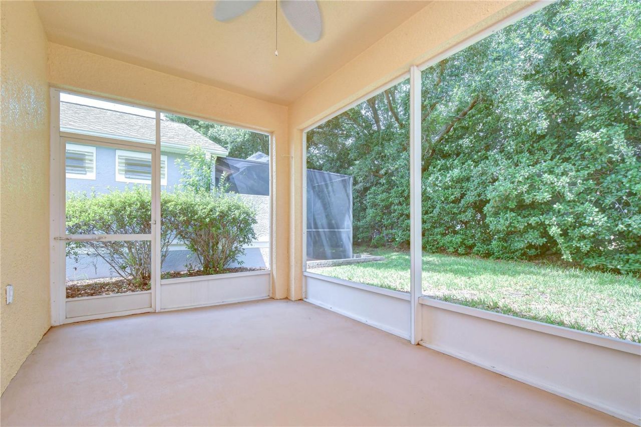 8049 Sanguinelli Road, Land O Lakes, FL 34637 Photo