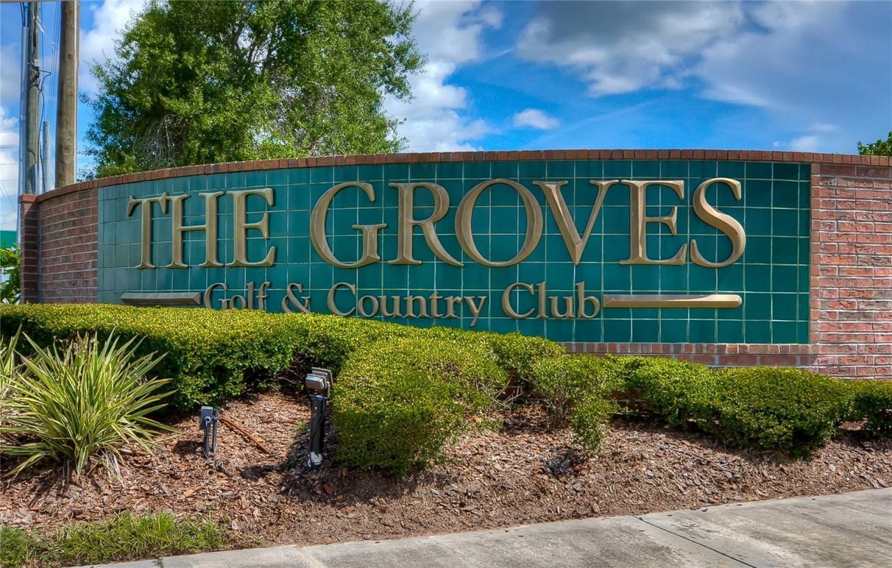 8049 Sanguinelli Road, Land O Lakes, FL 34637 Photo