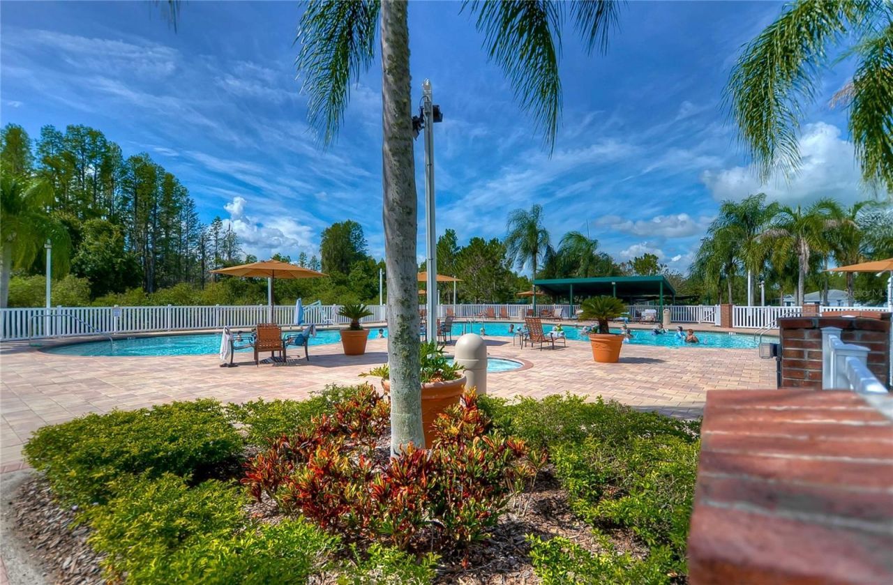 8049 Sanguinelli Road, Land O Lakes, FL 34637 Photo