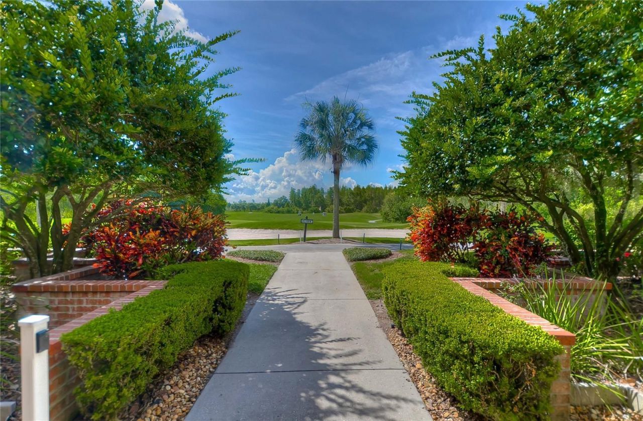 8049 Sanguinelli Road, Land O Lakes, FL 34637 Photo