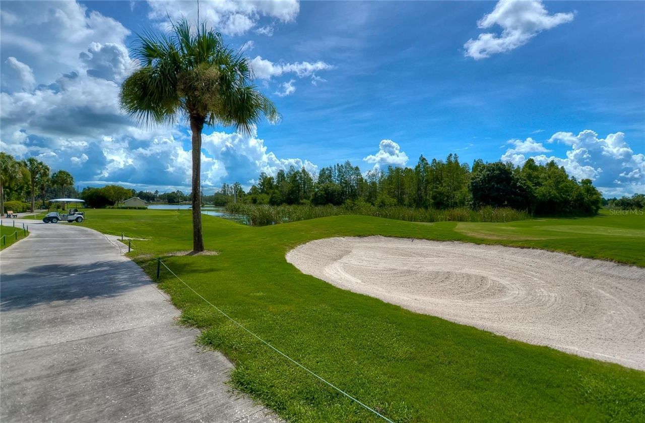 8049 Sanguinelli Road, Land O Lakes, FL 34637 Photo