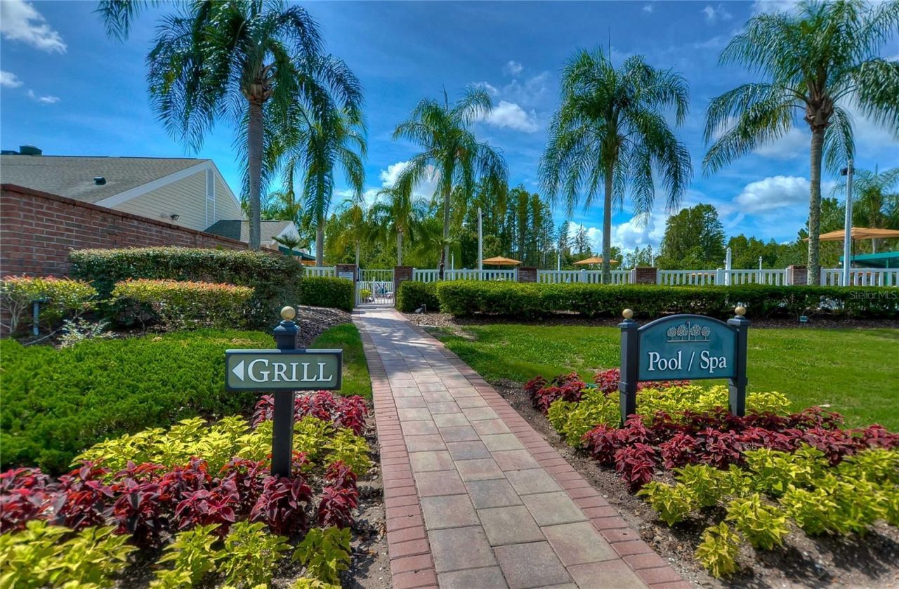 8049 Sanguinelli Road, Land O Lakes, FL 34637 Photo