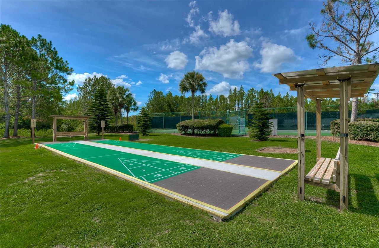8049 Sanguinelli Road, Land O Lakes, FL 34637 Photo