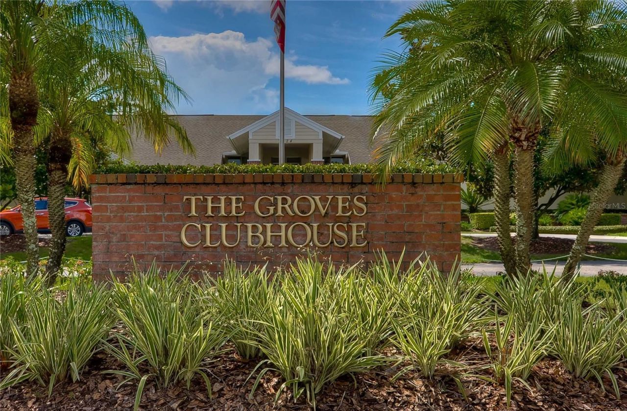8049 Sanguinelli Road, Land O Lakes, FL 34637 Photo
