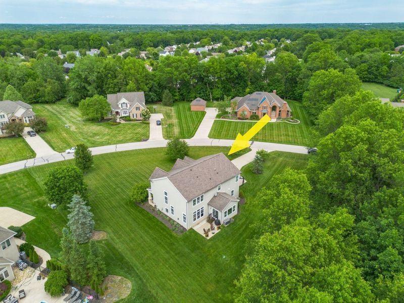 8558 Gosling Way, Powell, OH 43065 Photo 54