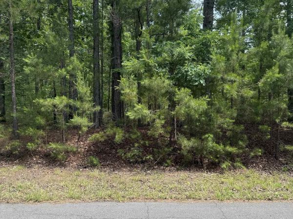 29 Ballobar Lane , Hot Springs Village, AR 71909