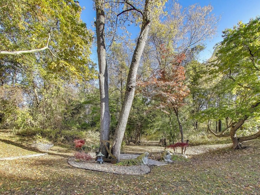 Property Image 97