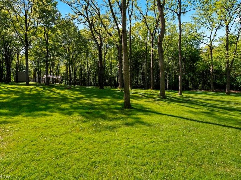 12620 Butler Road, Wakeman, OH 44889 Photo 38