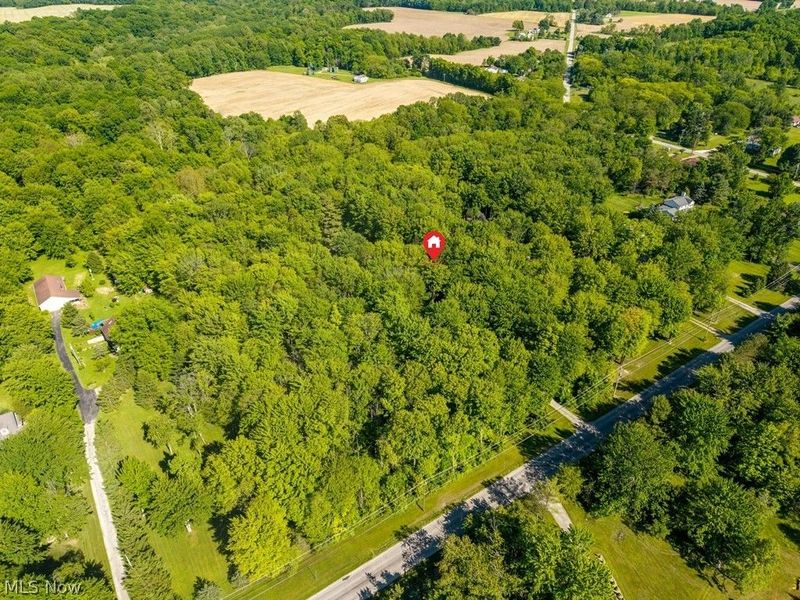 12620 Butler Road, Wakeman, OH 44889 Photo 50