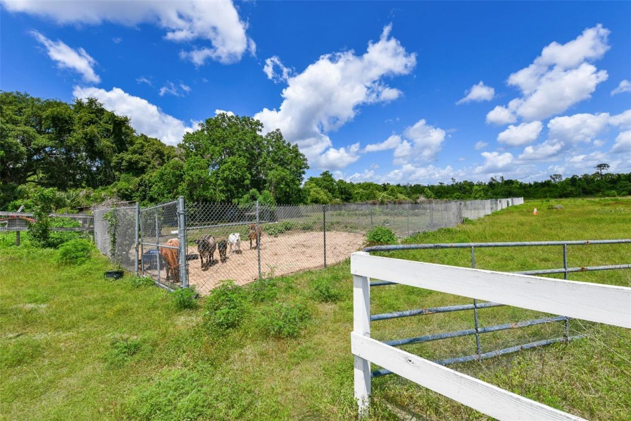 5750 Oak Hollow Lane, Oviedo, FL 32765 Photo
