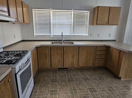 121 Del Drive, Kingston, NV 89310 Photo