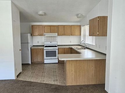 121 Del Drive, Kingston, NV 89310 Photo