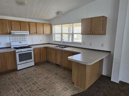 121 Del Drive, Kingston, NV 89310 Photo