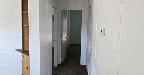 121 Del Drive, Kingston, NV 89310 Photo