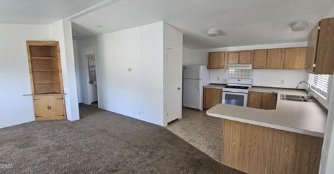 121 Del Drive, Kingston, NV 89310 Photo