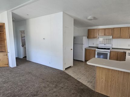 121 Del Drive, Kingston, NV 89310 Photo