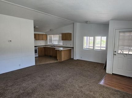 121 Del Drive, Kingston, NV 89310 Photo
