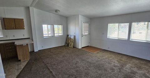 121 Del Drive, Kingston, NV 89310 Photo