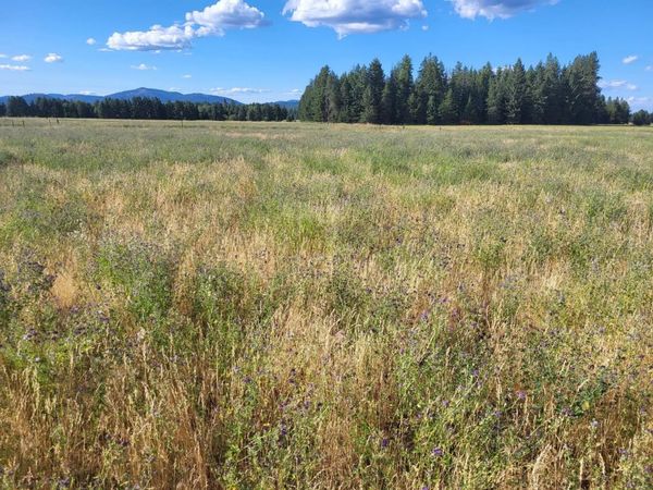 xx Short Rd, Deer Park, WA 99006