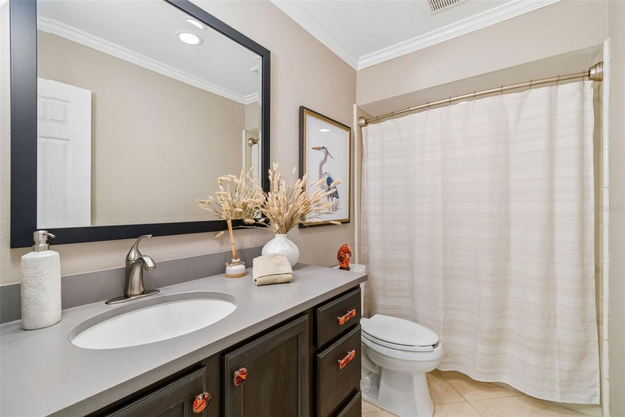 3133 Lake Ellen Drive, Tampa, FL 33618 Photo