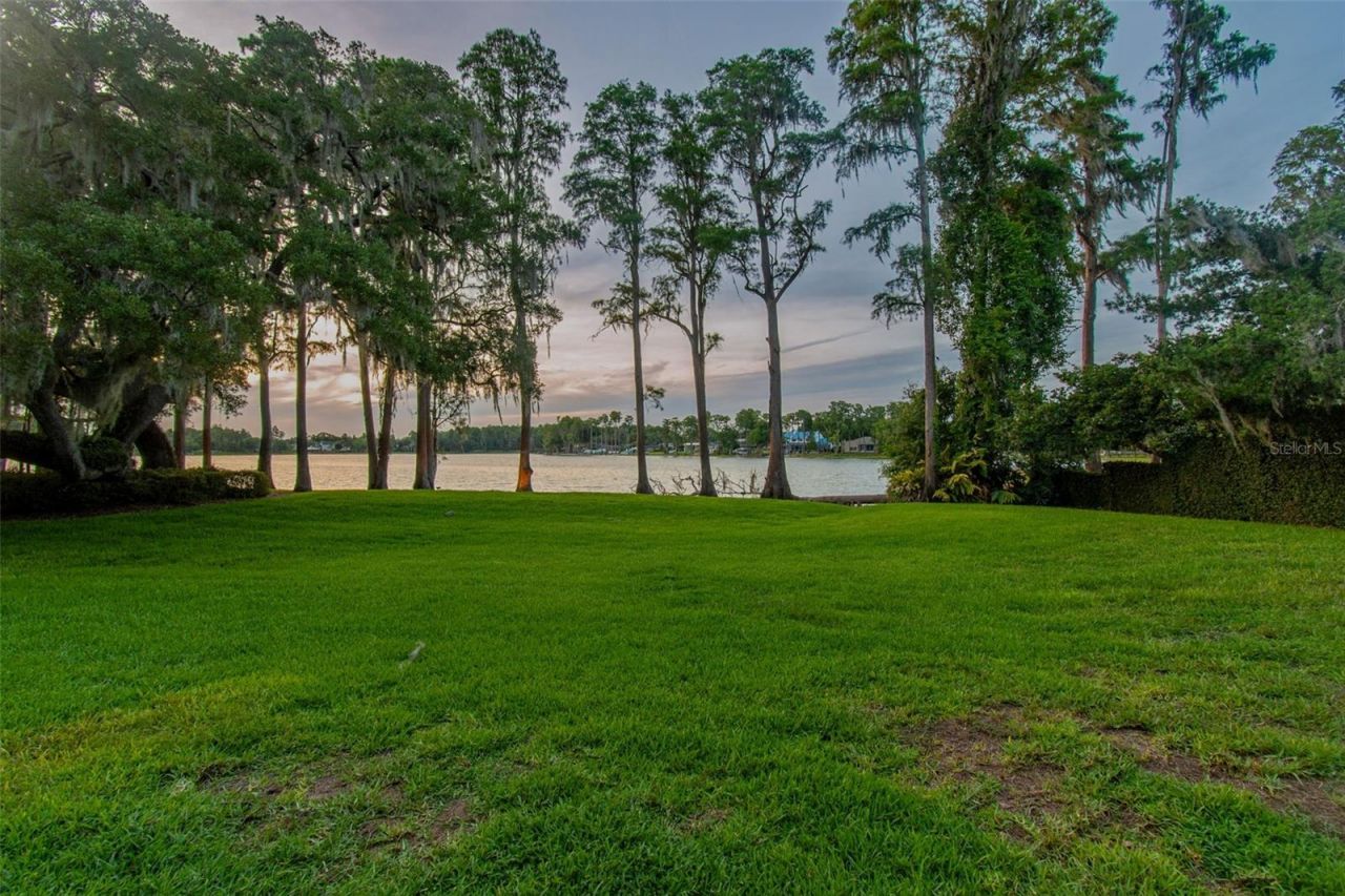 3133 Lake Ellen Drive, Unit 3133, Tampa, FL 33618 Photo
