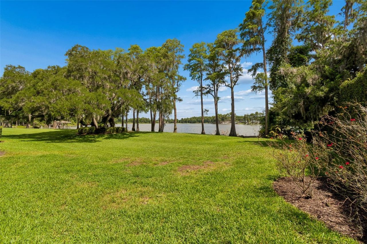 3133 Lake Ellen Drive, Tampa, FL 33618 Photo