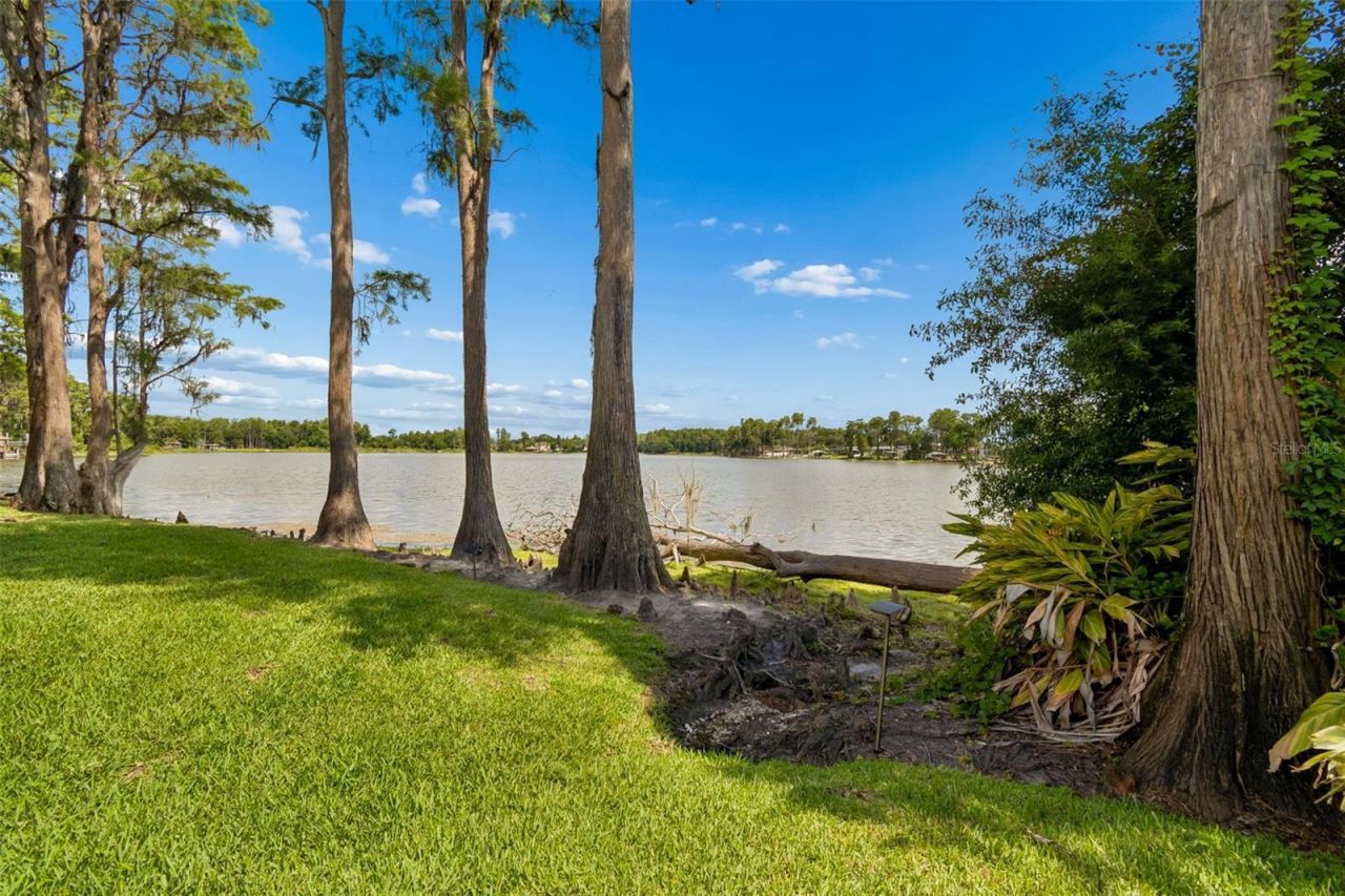 3133 Lake Ellen Drive, Tampa, FL 33618 Photo