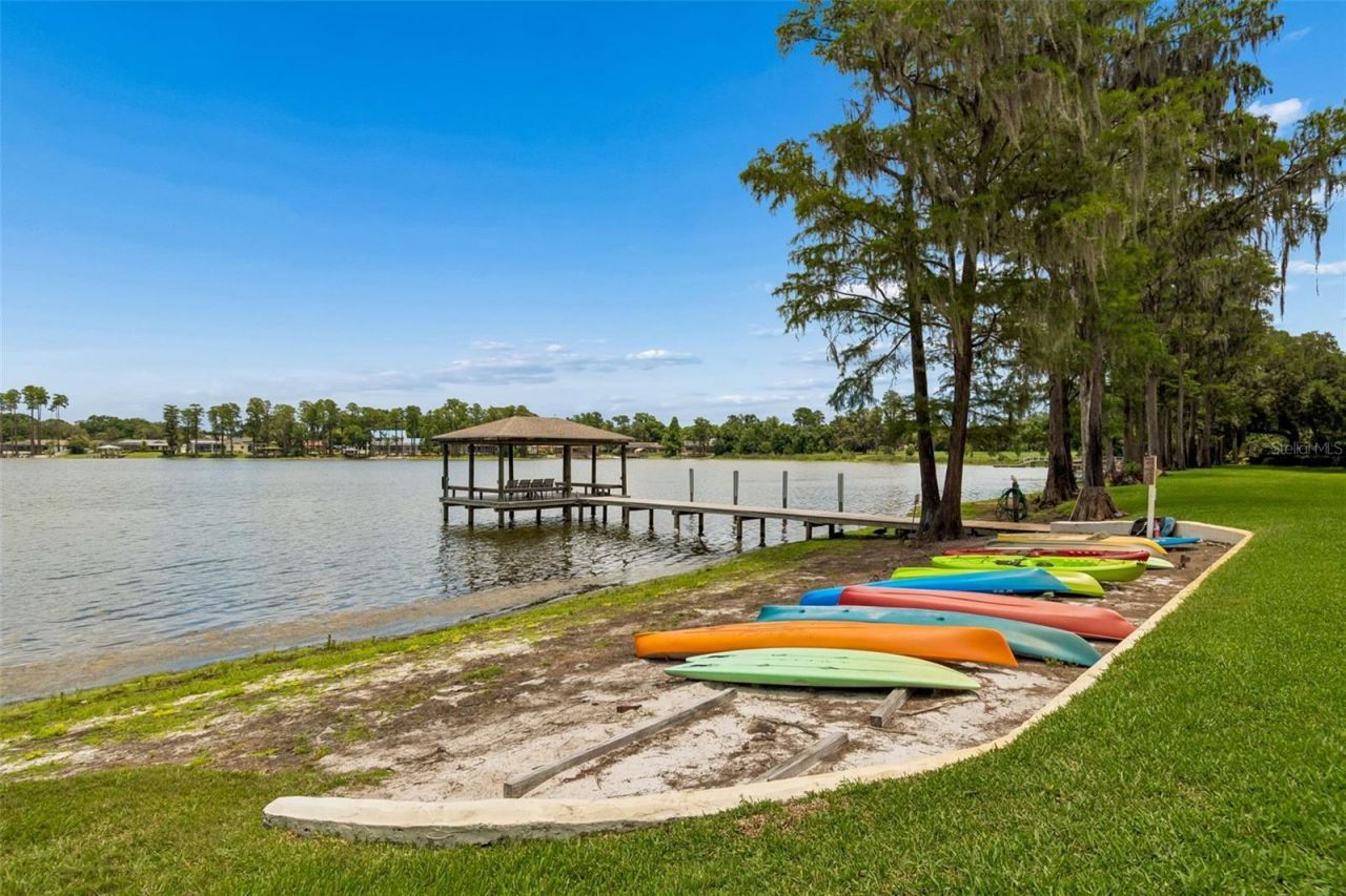 3133 Lake Ellen Drive, Tampa, FL 33618 Photo