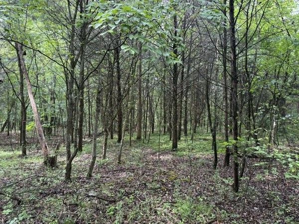 0 Teeters Rd , Unit 7, Morrison, TN 37357