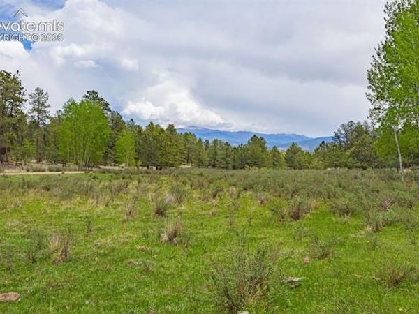 4250 Doe Valley Road, Guffey, CO 80820