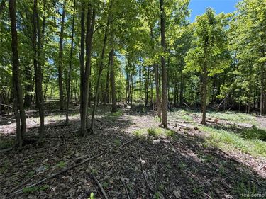 00 Dudley , Lynn Twp, MI 48416