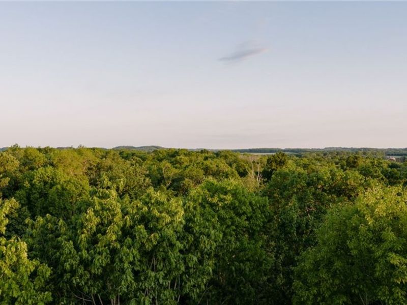 Apollo Road NE, Salineville, OH 43945 Photo 10