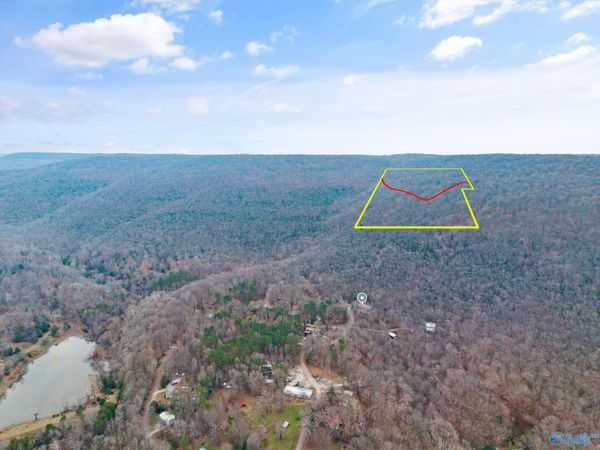 20 Acres, Hollytree, AL 35751