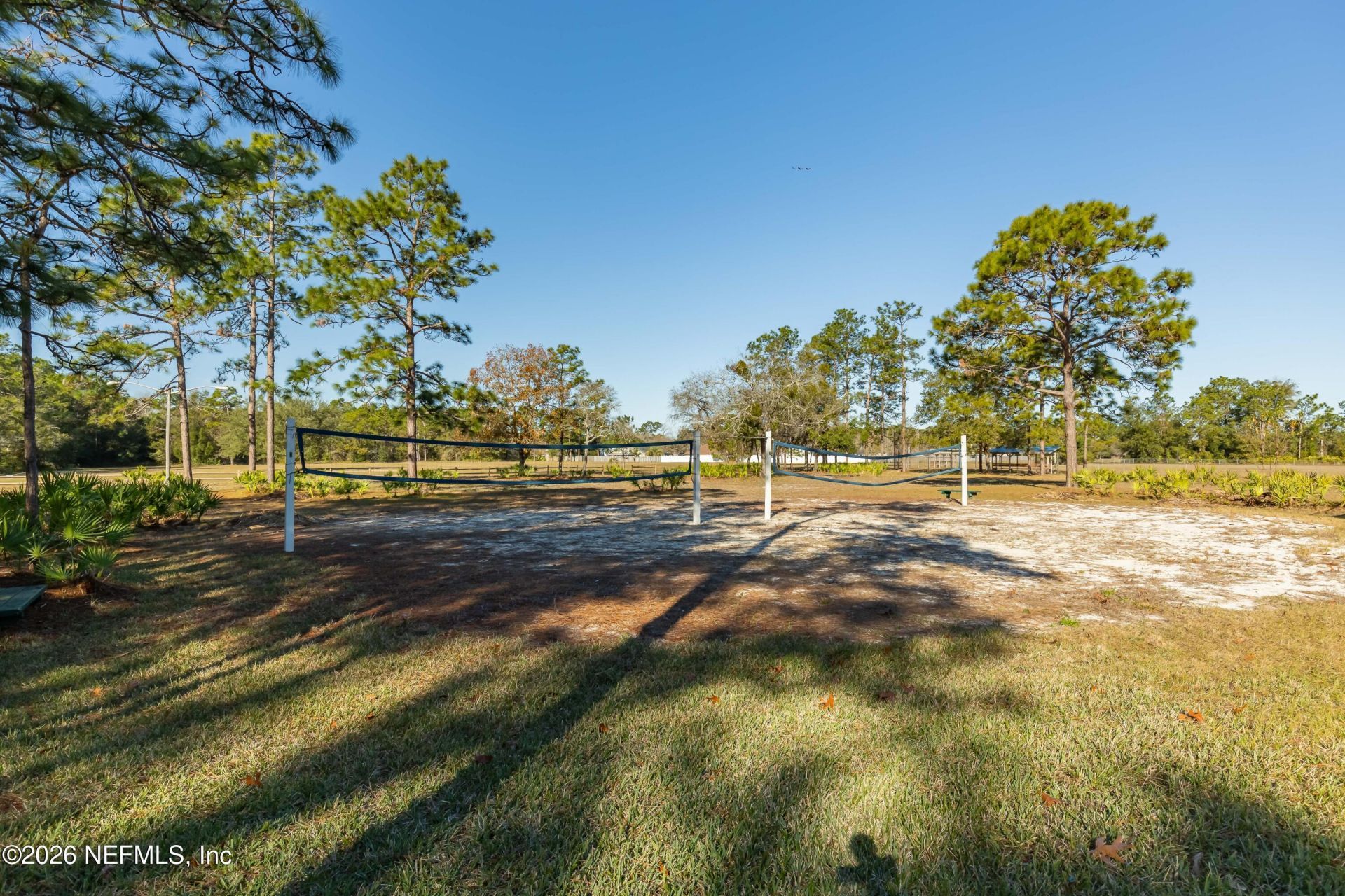8516 Bending Branch Court, Jacksonville, FL 32244 Photo