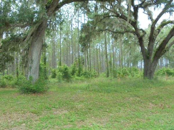 TBD US 19 SOUTTH, Perry, FL 32348