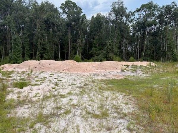TBD SE TULLIE BEACH 6.33AC, LuLu, FL 32061
