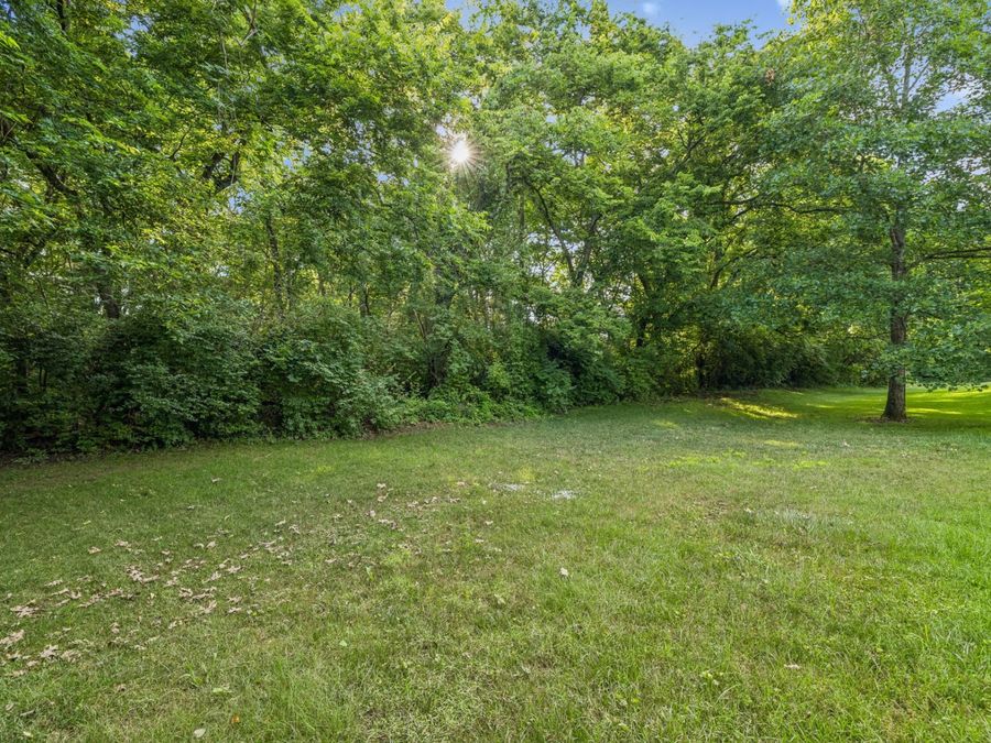 Property Image 89