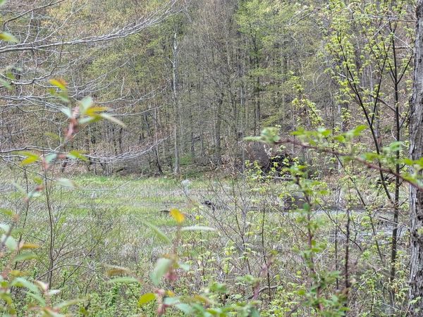 L1.12 COUNTY HIGHWAY 56, Unit Granshue R, Colton, NY 13625