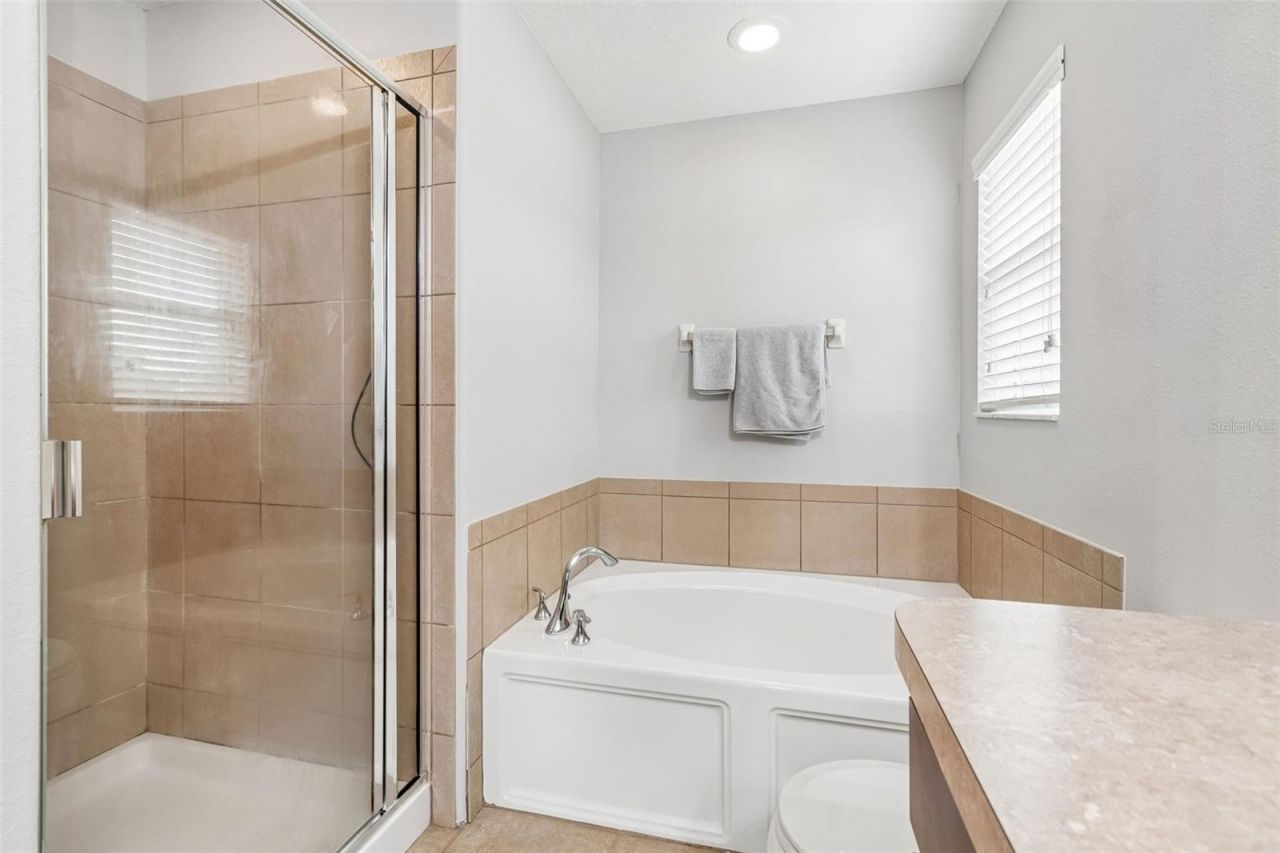 9421 Trumpet Vine Loop, Trinity, FL 34655 Photo