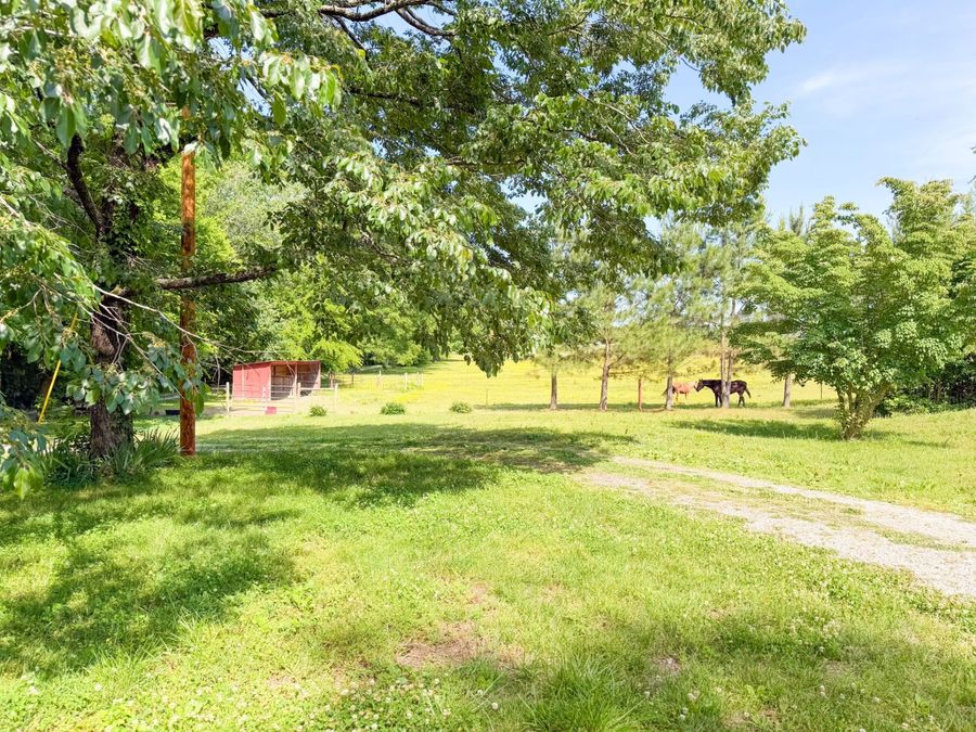 Property Image 52