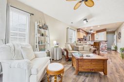 541 White River Dr.  photo 4