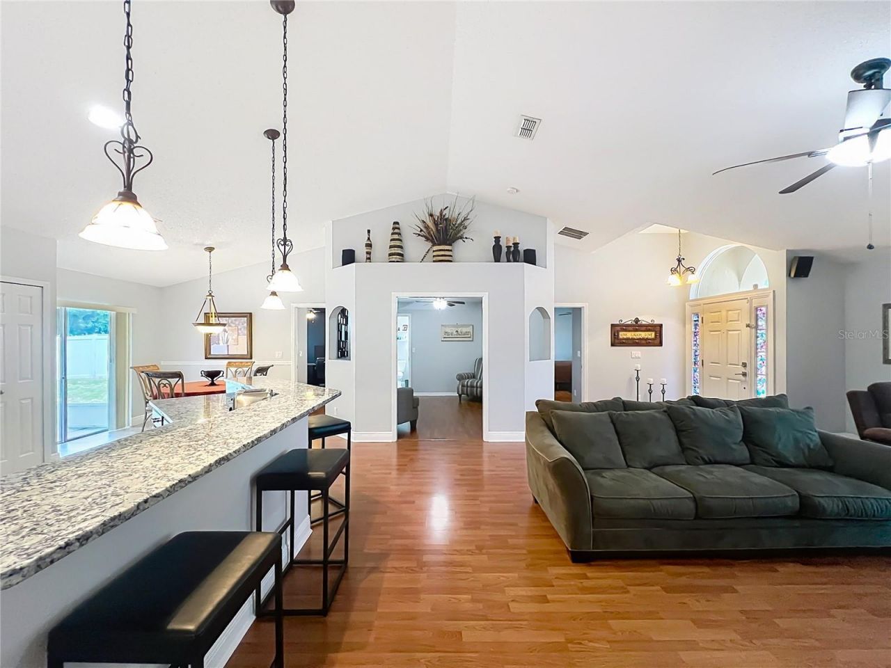 1123 Lakeview Oaks Drive , Minneola, FL 34715 Photo