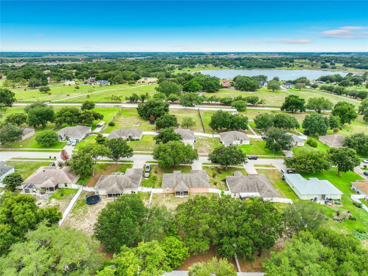 1123 Lakeview Oaks Drive , Minneola, FL 34715 Photo