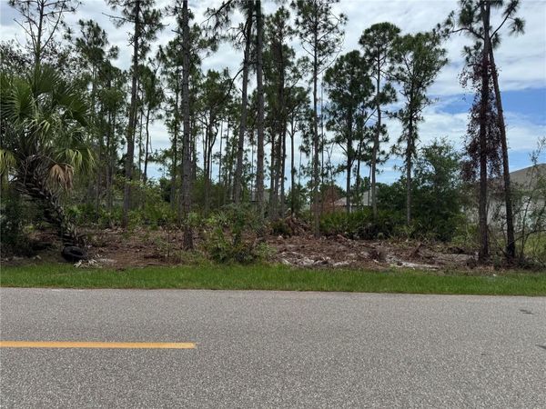 23369 AVACADO AVENUE , PUNTA GORDA, FL 33980