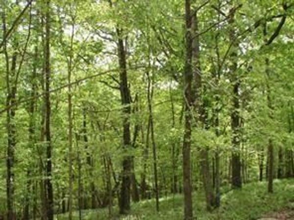141 Fort Wayne Court, Waleska, GA 30183