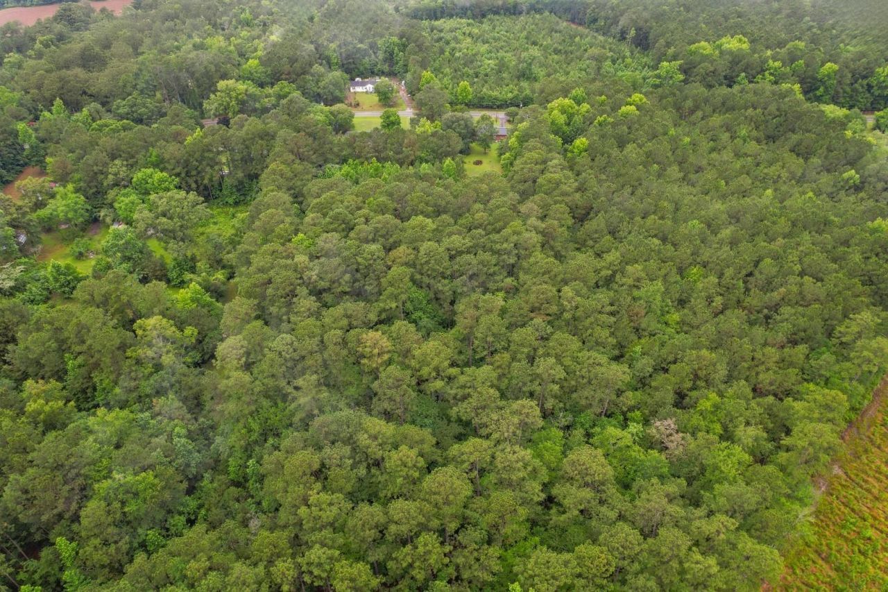 2240 Little Lamb Rd.  Photo 44