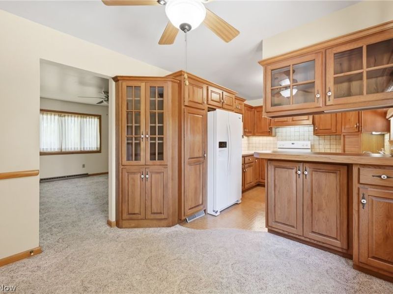 1515 E 11th Street, Salem, OH 44460 Photo 8