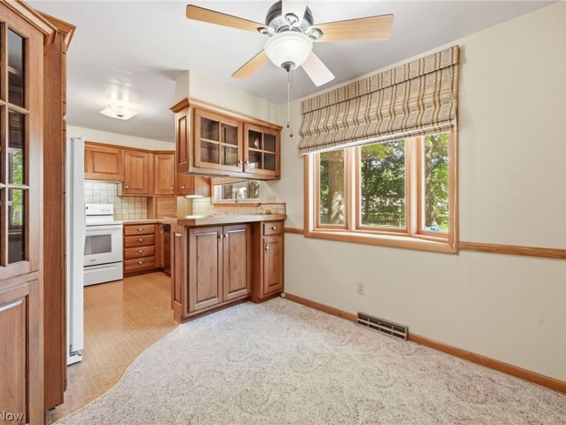 1515 E 11th Street, Salem, OH 44460 Photo 9