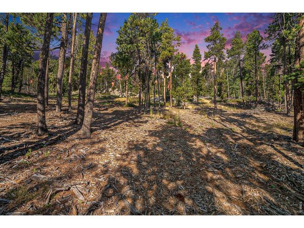 231 Granite Dr, Drake, CO 80515